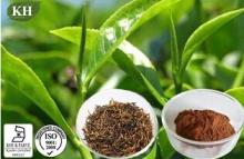  Black   Tea  Powder  Black   Tea  Extract:Theaflavins 40%, 60%; Polyphenols 25%,40%.