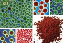 Astaxanthin: 2%, 5%, 98% Astaxanthin Haematococcus pluvialis Extract