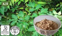 Angelica Extract: Ligustilide 40%, ferulic acid 0.4%;
