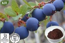 Blueberry Extract:Anthocyanidin 5%,10%,20%, 25%, 30%;Polyphenol 4%, 10%; 5:1, 10:1, 20:1