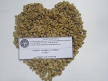 green Arabica coffee