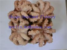 Flower type frozen octopus