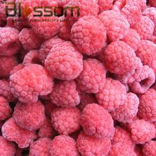 Grade A frozen raspberry