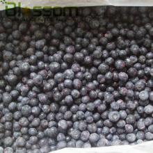 Wholesale frozen blueberry