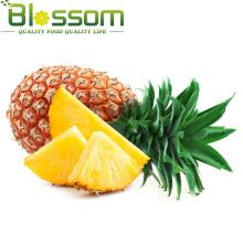 Frozen tropical  fruit   IQF  pineapple