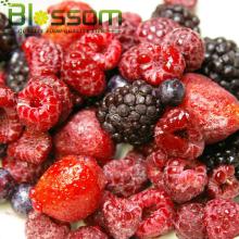 IQF mixed berries wholesale frozen fruit