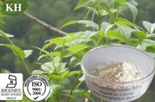 Vine Tea Extract:Dihydromyricetin ( DMY ) 50%, 80%, 95%, 98% (HPLC)