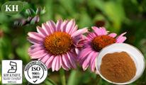 Echinacea Extract: Cichoric acid 1%,2%,2.5%, 4 % ;  Polyphenols  2%, 4 % 7% ;Polysaccharide 20%.