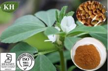  Fenugreek  Seed  Extract  Trigonella foenum-graecum Seed  Extract 