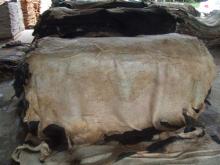 Wet Salted Cow Skin
