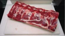 angus beef