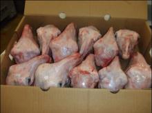 lamb head