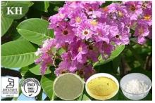 Banaba Leaf Extract