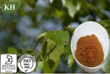  Birch  Leaf Extract