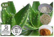 Aloe Vera gel Freeze Dried Powder