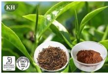  Black   Tea   Extract 