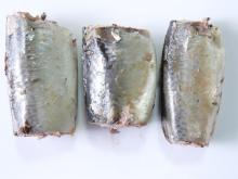 CANNED SPANISH MACKEREL IN BRINE, OIL, TOMATO SAUCE