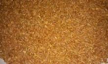 Durum  Wheat  Grade 2