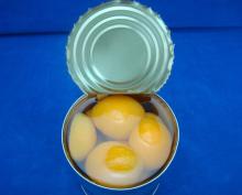 Manufacturer of canned apricot in light syrup