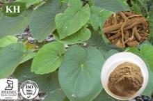 Kava Kava Extract: Kavalactones 30% by HPLC