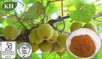 Kiwi Extract:25% Vitamin C;5:1;10:1; 20:1;10% Polyphenol;