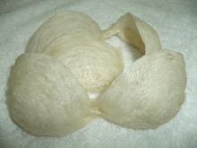  Swallow  Bird  Nest  Bowl