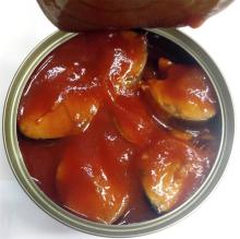 new product mackerel in tomato sauce, canned mackerel