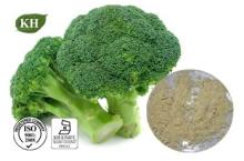  Broccoli   Extract 