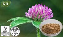 Red Clover Extract: Total Isoflavons 10%, 20%, 40%, 80% by HPLC.
