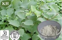 Polygonum Cuspidatum Extract  Resveratrol  25%, 50%, 85%,  98 % by  HPLC ;