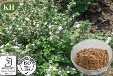 Thyme Extract: 3%, 20%, 30%, 60%, 90%  Thymol 