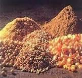 Animal Feed