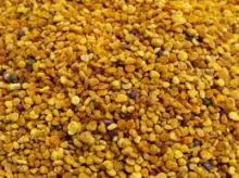  bee   pollen   granular 