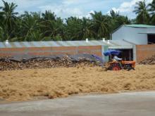  COCONUT   FIBER 