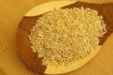 (lose weight)Plant protein meal replacement powder(Pony testing  report )