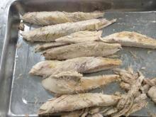 pre-cooked yellowfin  tuna  loins