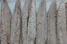 frozen bonito fillets loins and flakes