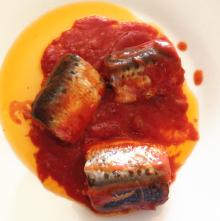 canned pilchards in tomato sauce sardinops sargax