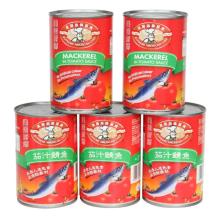 Best-selling Canned Mackerel in Tomato Sauce health food