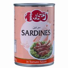 canned sardine in tomato sauce, oil, brine 155g