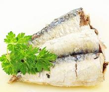 canned sardines price,canned sardine in oil with prices