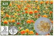 Safflower Seed Oil