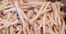 Chicken Feet - Paws
