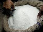 Brown Sugar with  coral   calcium  ( Kuroto :sugar from sugar cane )