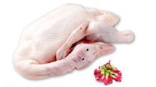 Frozen  Whole   Duck 
