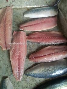  Frozen   pacific   mackerel  HGT