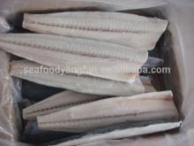 Spanish,mackerel,fillet and Scomberomorus,Niphonius