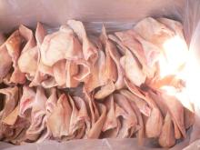 Pork Ear //Frozen Pork Feet / Frozen Pork Tail