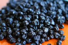 Organic High Quality Dried Blueberries! EU Certified!