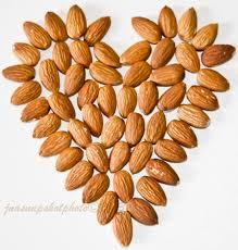 Hot sale for organic almond with high quality with ISO ,HACCP,